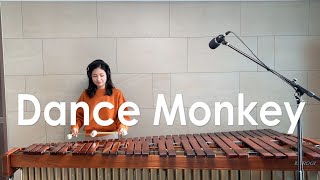 Dance Monkey  Tones and I  Marimba Cover [upl. by Alwitt]