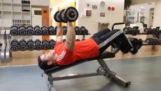 Decline Dumbbell Bench Press  Chest Exercise [upl. by Nitsyrk]