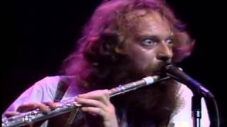 Jethro Tull  No Lullaby Flute solo live at [upl. by Ainosal]