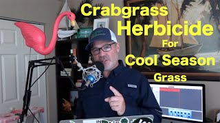 Crabgrass Herbicide for Cool Season Grass  PostEmergent Herbicide  Tenacity  Quinclorac [upl. by Zeke528]