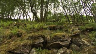 Railway Walks Full Episode 4  The Whisky Train  Speyside  The Strathspey Railway [upl. by Ma]