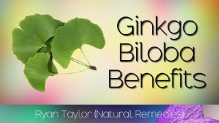 Ginkgo Biloba Benefits for Health [upl. by Jsandye284]