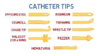 Introduction to Urinary Catheters [upl. by Britney824]