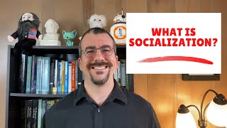 What is Socialization [upl. by Lennahs]