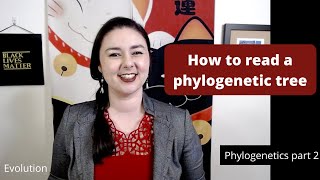 How to read a phylogenetic tree [upl. by Enohpets211]