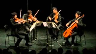 Schubert Quartettsatz No12 in C minor D703 by NOVUS Quartet [upl. by Jamin]