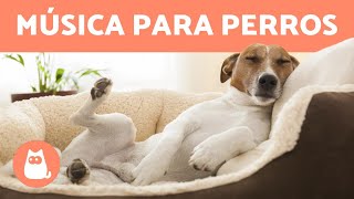 MÚSICA PARA DORMIR PERROS 🐶 💤 ¡Relaja y mejora la ansiedad [upl. by Mosley825]