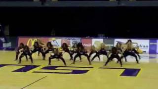 LSU TIGER GIRLS Hip Hop Nationals routine [upl. by Anahsirk]