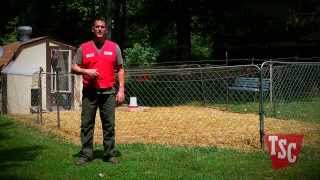 How to Prevent and Treat Coccidiosis in Chickens  Chicken Care  Tractor Supply Co [upl. by Ecirtra]