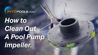 How To Clean Out A Pool Pump Impeller [upl. by Frame]