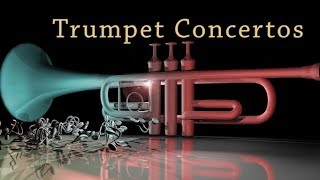 Telemann Trumpet Concertos Vol1 [upl. by Eiggem801]