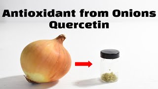 Extracting Quercetin from Onions [upl. by Elocel]