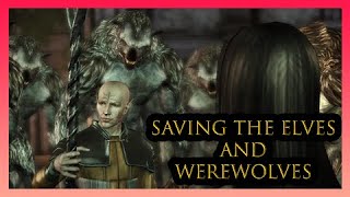 Saving the Elves and Werewolves Zathrian Boss Fight Best Outcome  Dragon Age Origins [upl. by Adnolor]