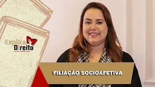 Explica Direito Filiação Socioafetiva  2019 [upl. by Ecidnak]