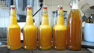 Beginners Guide To Fermentation Bottling  Flavoring Kombucha [upl. by Anilosi]