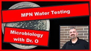 MPN Most Probable Number Water Quality Testing Microbiology [upl. by Nort]