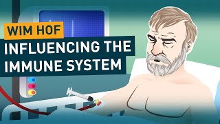 Influencing the Immune System  Wim Hof Method Science [upl. by Rauscher]