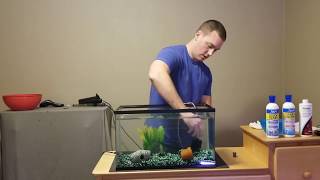 How to set up a fish tank [upl. by Nylekcaj]