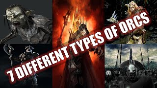 The 7 Different Types Of Orcs [upl. by Cristiona993]