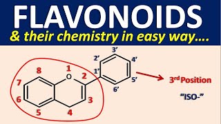 Flavonoids and their chemistry in easy way [upl. by Boatwright]