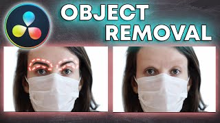 Object Removal In Davinci Resolve 19 FREE Version Tutorial [upl. by Brodench314]