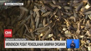 Menengok Pusat Pengolahan Sampah Organik [upl. by Aicnelev]