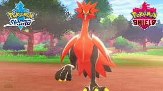 How to catch Galarian Zapdos in Pokemon Sword and Shield Crown Tundra [upl. by Jacquenette]