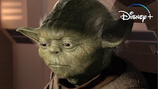 Yoda Tells It Like It Is  Disney [upl. by Iiette286]