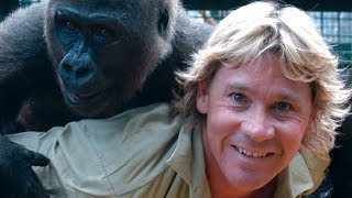 The Untold Truth Of Steve Irwin [upl. by Assenaj]