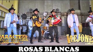 Rosas Blancas Los Viejones de Linares feat Carácter Norteño [upl. by Jacquette]