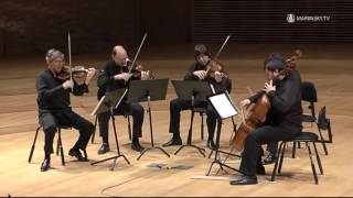 Franz Schubert String Quintet in C Major D 956 [upl. by Aciraj]