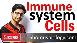 Cells of immune system [upl. by Aihseket]