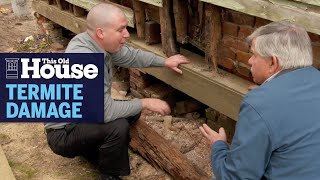 How to Prevent Termite Damage  This Old House [upl. by Keldah]