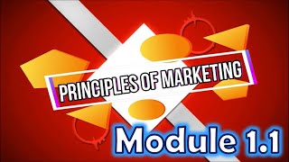 Principles of Marketing MKT121  Module 11 [upl. by Indira615]