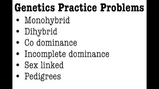 Genetics Practice Problems [upl. by Nottnerb]