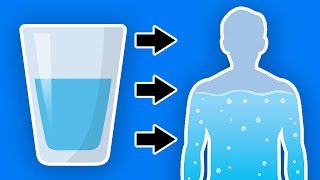 This Happens To Your Body When You Start Drinking More Water Every Day [upl. by Craggy503]