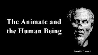 Ennead 11  THE ANIMATE amp THE HUMAN BEING [upl. by Conte742]