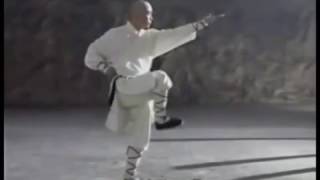 少林大罗汉拳 Shaolin da luohan quan  Shaolin Arhat Boxing Combat technique [upl. by Ludovika]