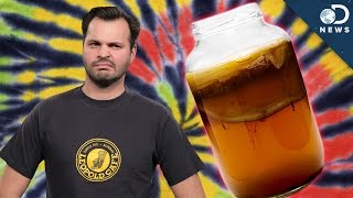 WTF Is Kombucha [upl. by Soirtemed]