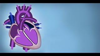 Fetal Circulation by L McCabe  OPENPediatrics [upl. by Hurd]