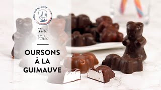 Tuto Recette  Oursons à la Guimauve Nounours Guimauve [upl. by Daas]