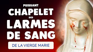 🙏 Le Très Puissant Chapelet des LARMES de SANG de la Vierge Marie [upl. by Ninaj558]