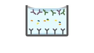 SimpleStep ELISA kit protocol [upl. by Lemart]