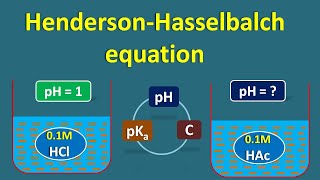 HendersonHasselbalch equation  Application and calculations [upl. by Michaela205]