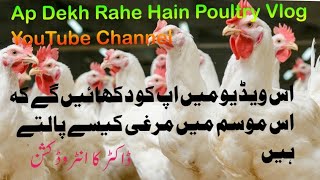 Visit Karen Poultry Farm YouTube Channel [upl. by Ashlee]