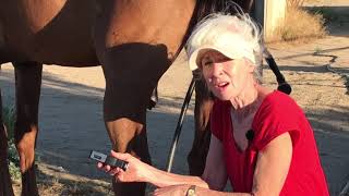 Helping Horses with Dropped Fetlocks [upl. by Atinomar689]