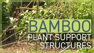 Bamboo Plant Support Structures [upl. by Niel]