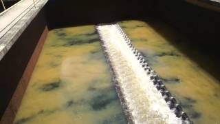 Filter backwash with air and water [upl. by Airetnuhs]