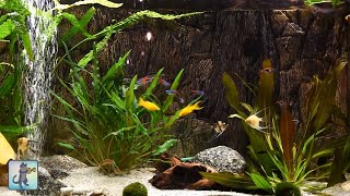 Relaxing Aquarium Fish Tank Sounds  NO MUSIC 🐟 [upl. by Airat]