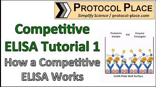 Competitive ELISA Tutorial 1 How a Competitive ELISA Works [upl. by Tiertza777]